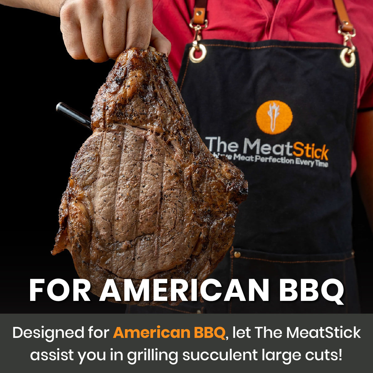 The MeatStick X